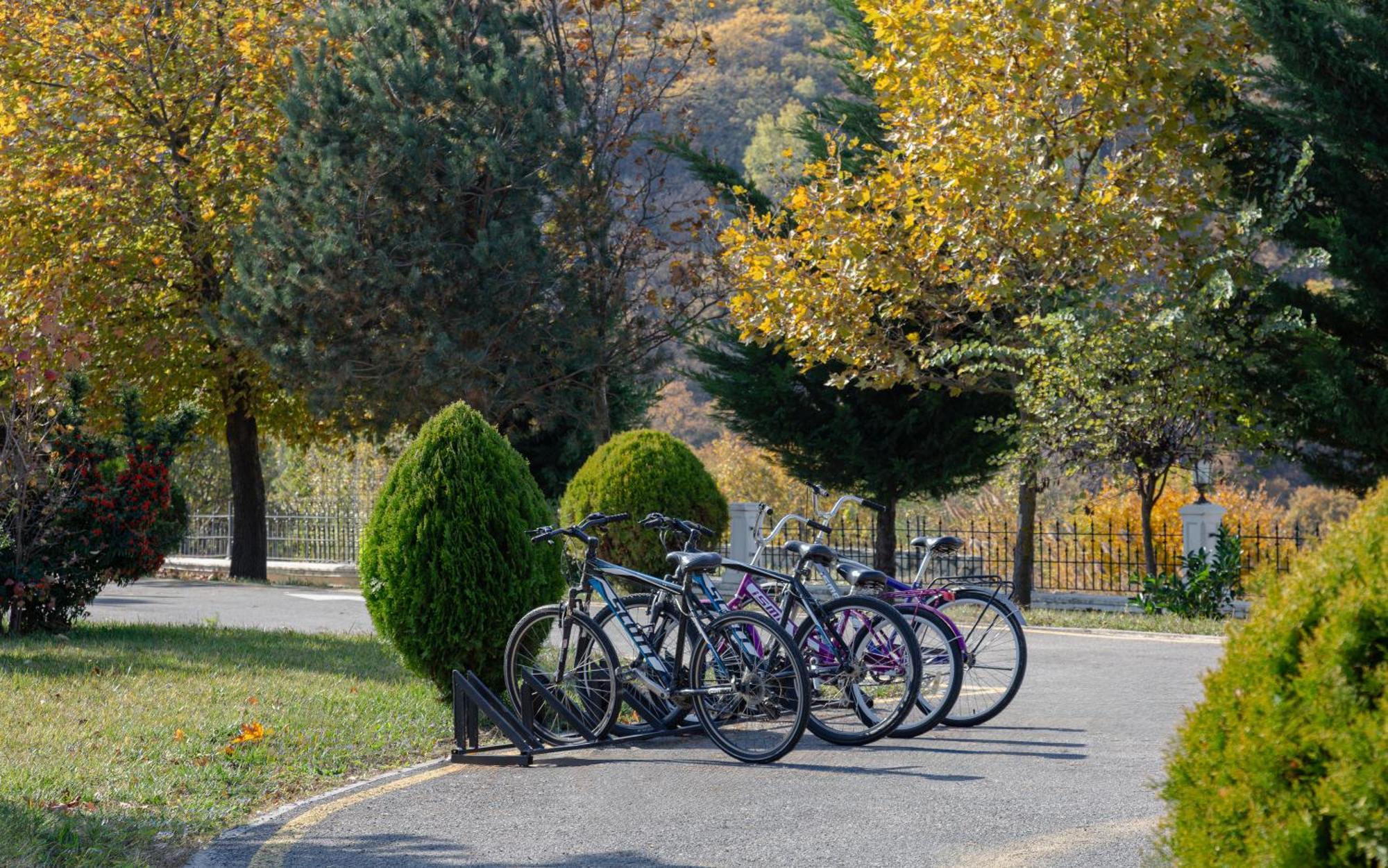 Shamakhi Palace Sharadil Seredil Zewnętrze zdjęcie Bicycles parked at the entrance of the park